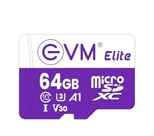 EVM Elite 256GB MicroSDXC Memory Card